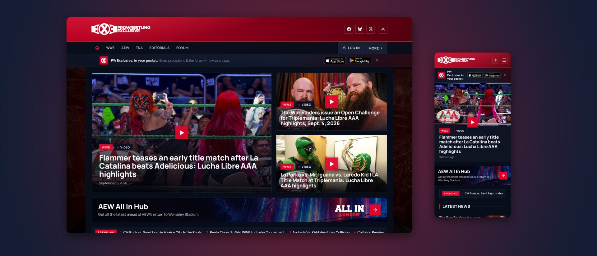 Pro Wrestling Exclusive work by wsmedia